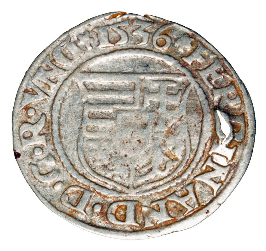 Denar 1536 Ferdynand I Habsburg Węgry Kremnica
