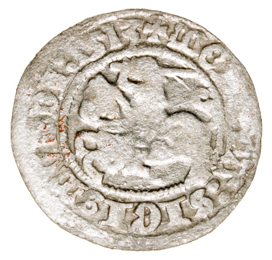 Półgrosz 1513 Zygmunt I Stary Litwa Wilno