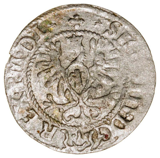 Półgrosz 1620 Zygmunt III Waza Polska Bydgoszcz